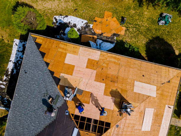 Best Roof Gutter Cleaning  in Enoch, UT